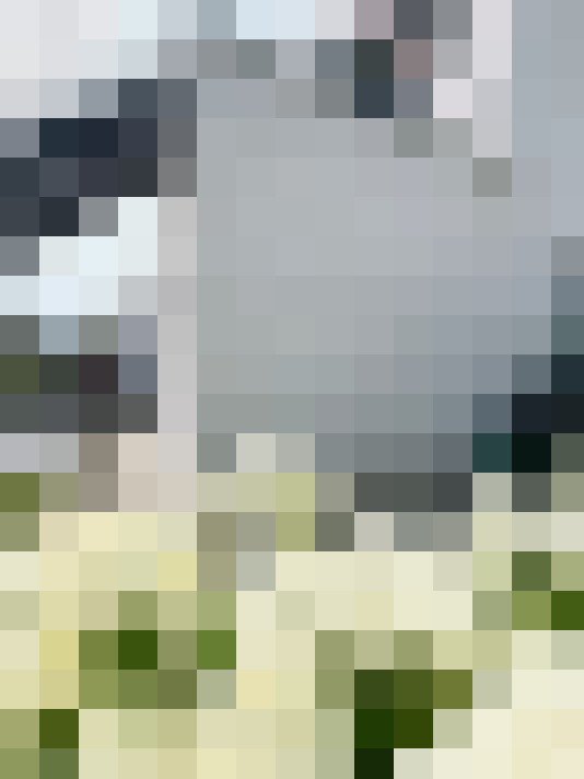 Image 16