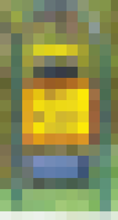 Image 20