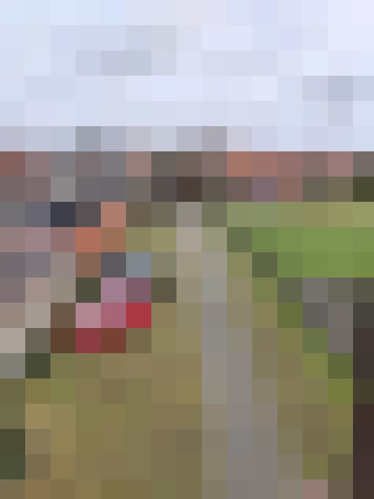 Image 15