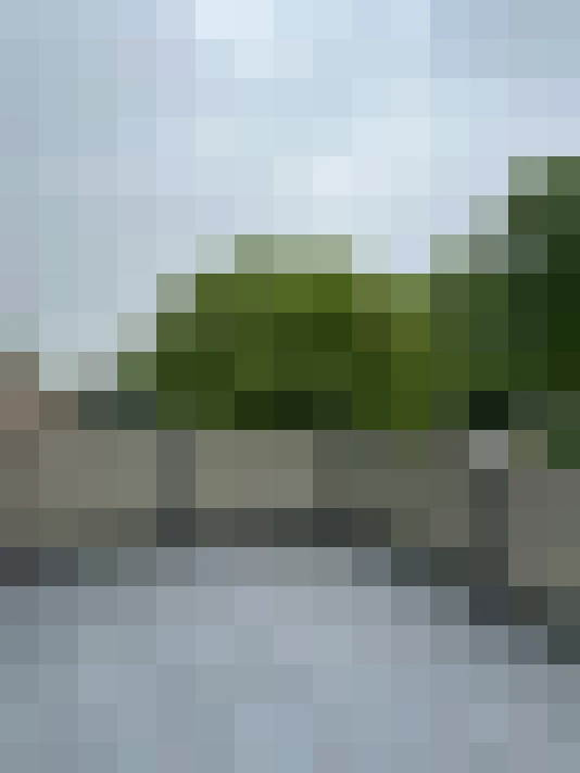 Image 17