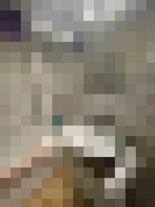 Image 14