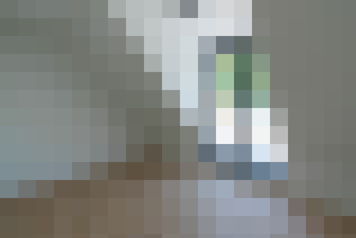 Image 14