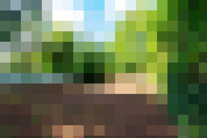 Image 17
