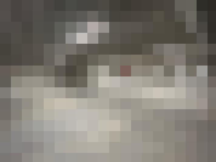 Image 20