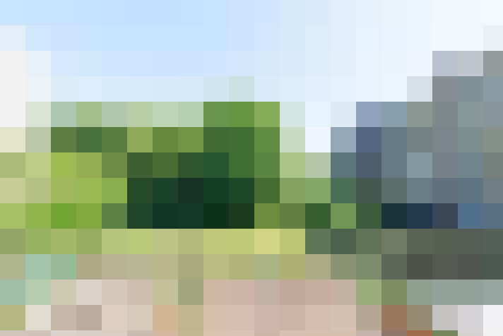 Image 20