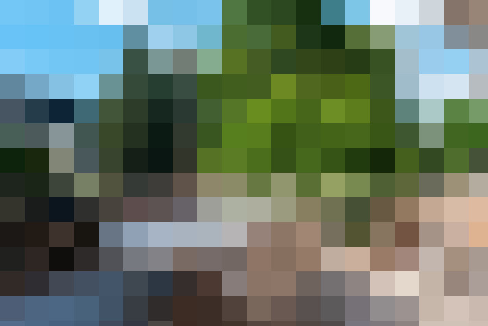Image 22