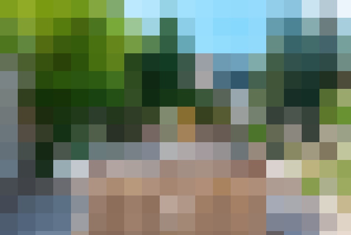 Image 25