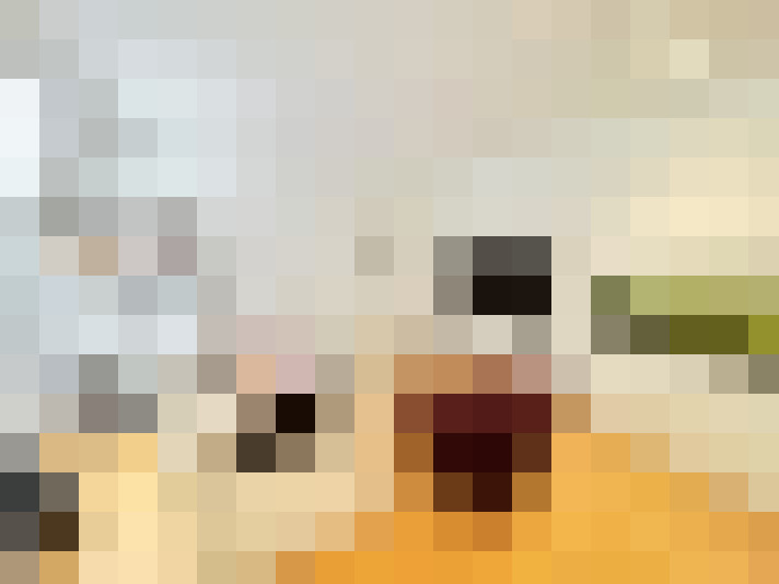 Image 22