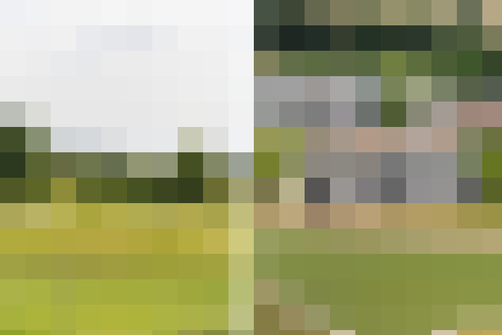 Image 23