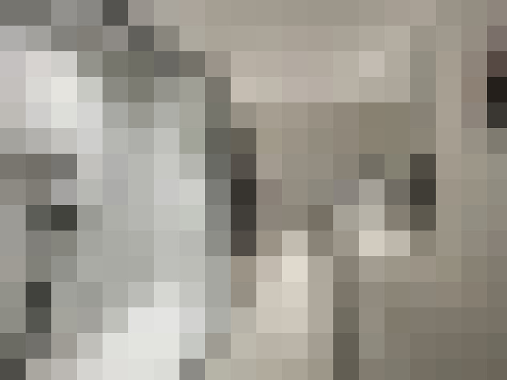 Image 36