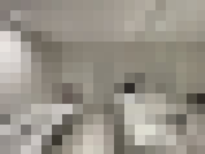 Image 25