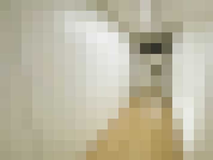 Image 23