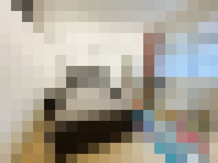 Image 22