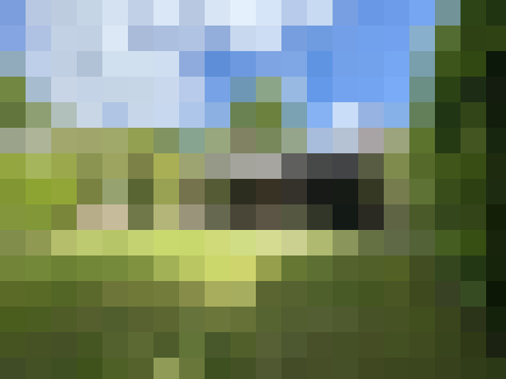 Image 23