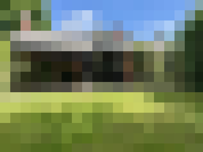 Image 22