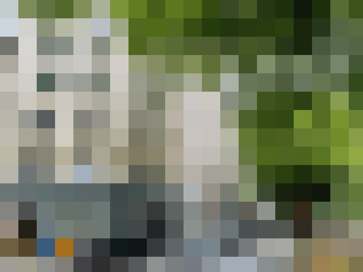 Image 33