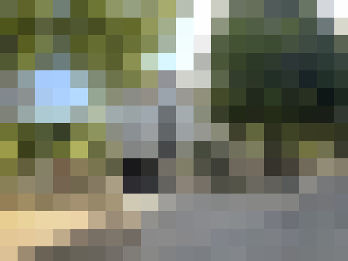 Image 17
