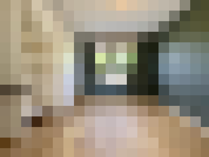 Image 20
