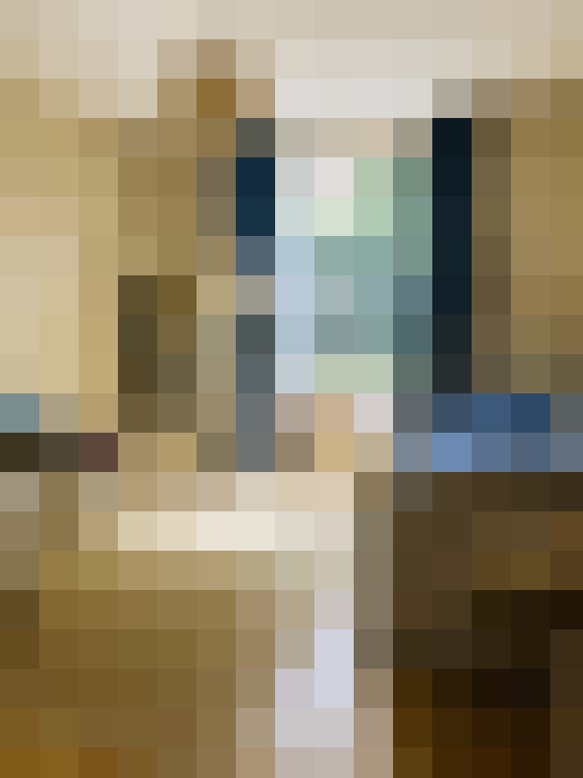 Image 15