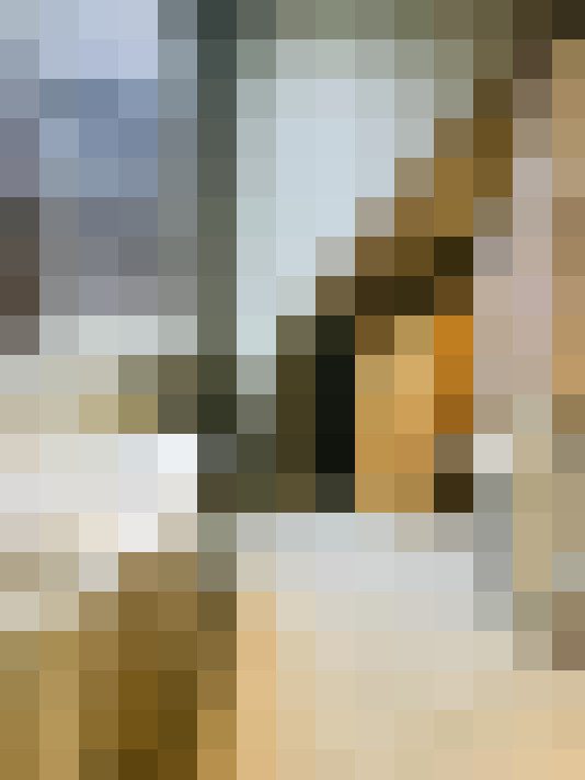 Image 13