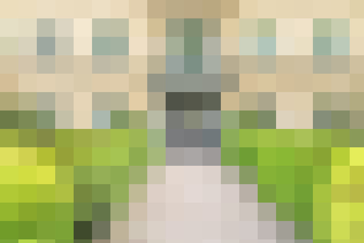 Image 17