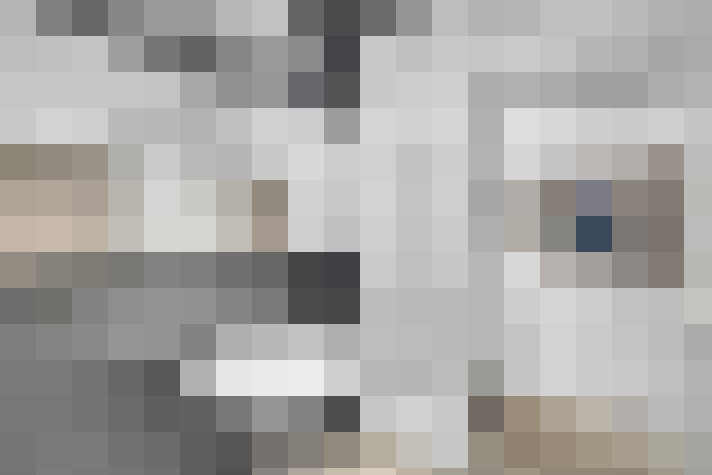 Image 20