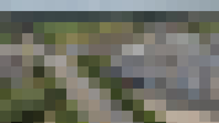 Image 29