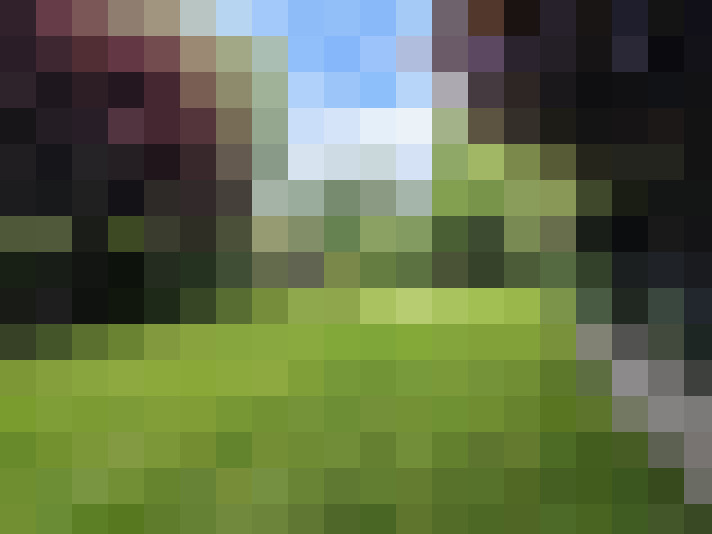 Image 17