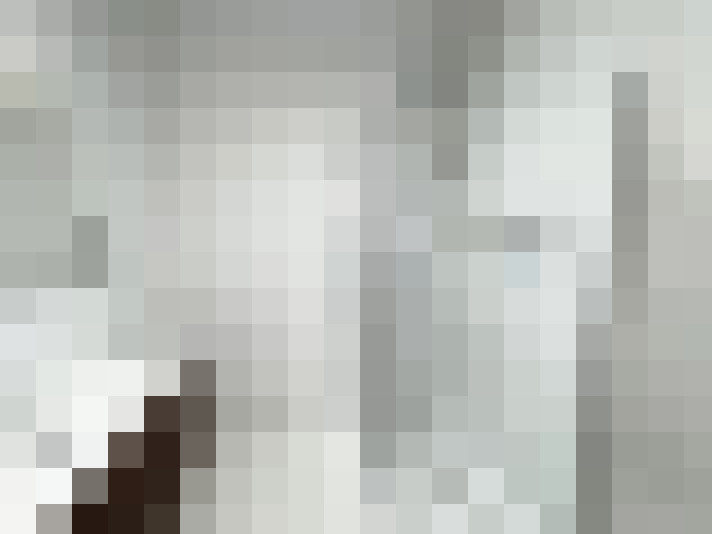 Image 17
