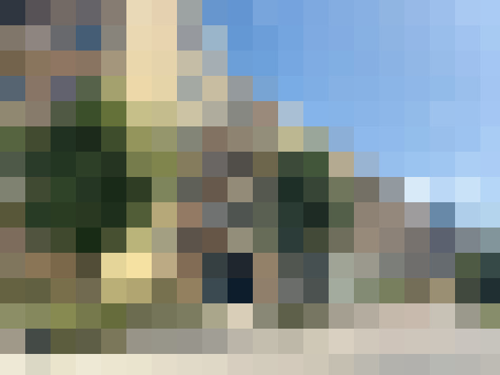 Image 20