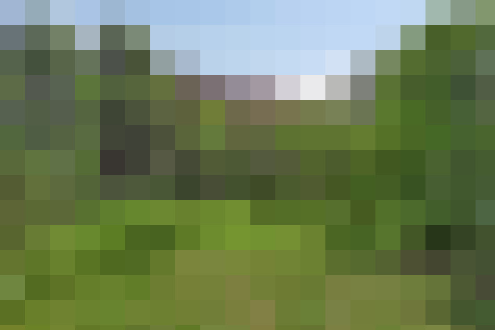 Image 18