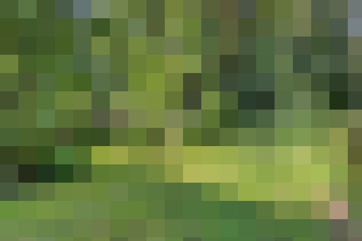Image 17