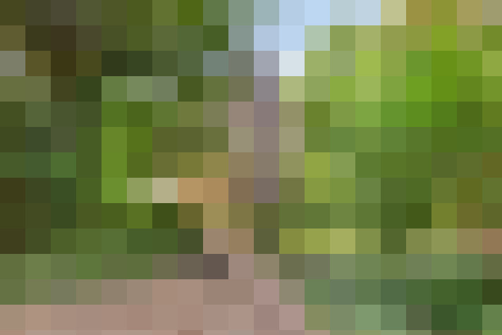 Image 14