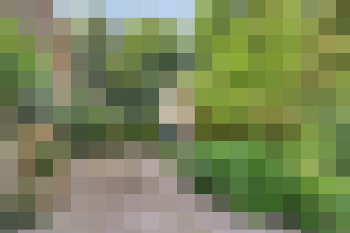 Image 16