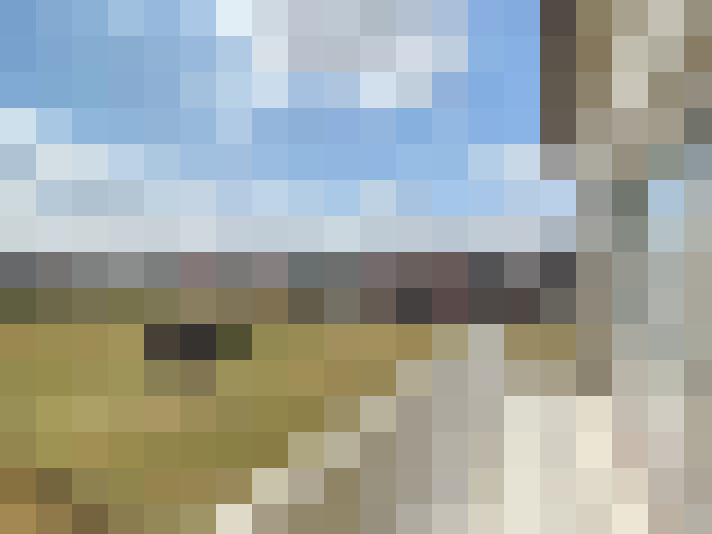Image 14