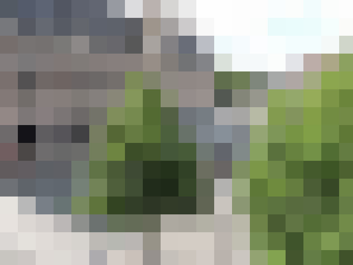 Image 14