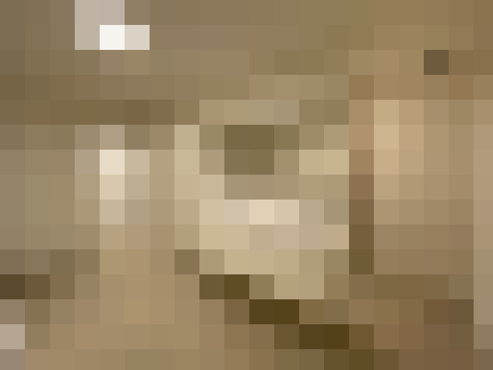 Image 17
