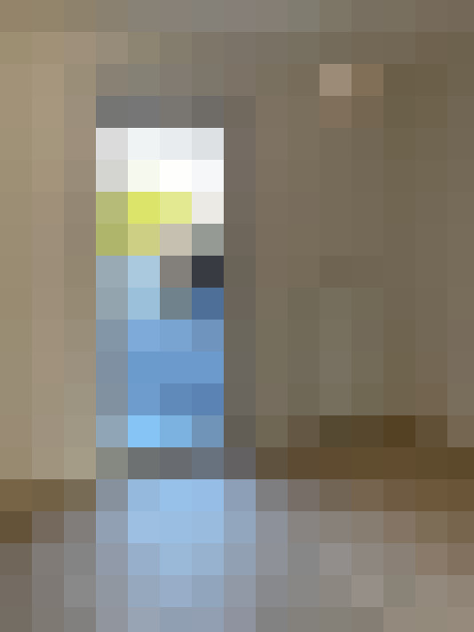 Image 13