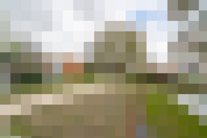 Image 18