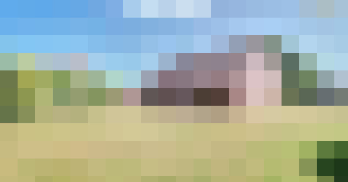 Image 32