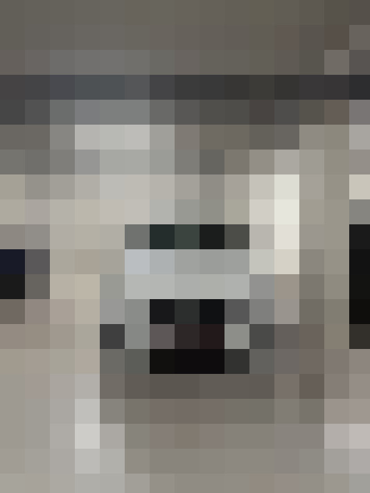 Image 22