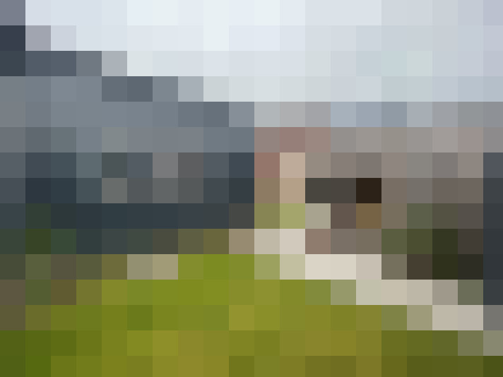 Image 29