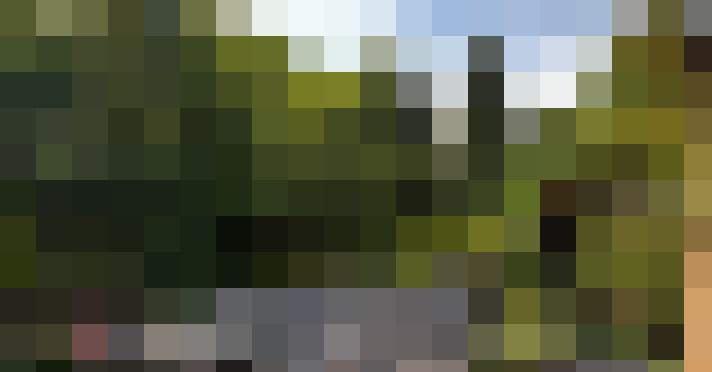 Image 26