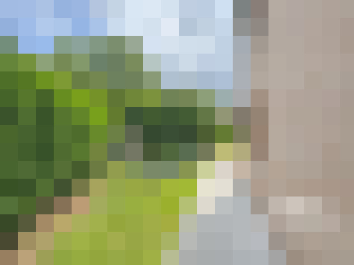 Image 29