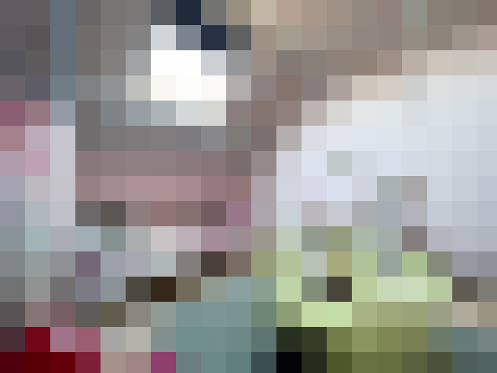 Image 20