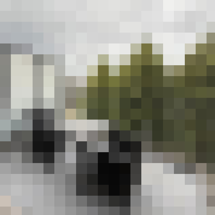 Image 17