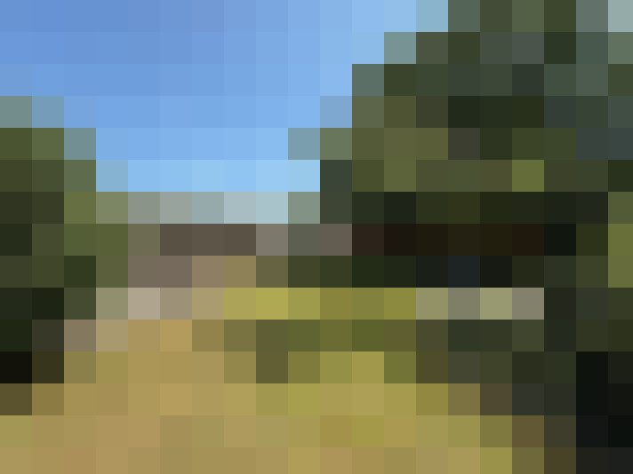 Image 14