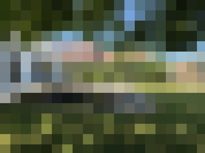 Image 15