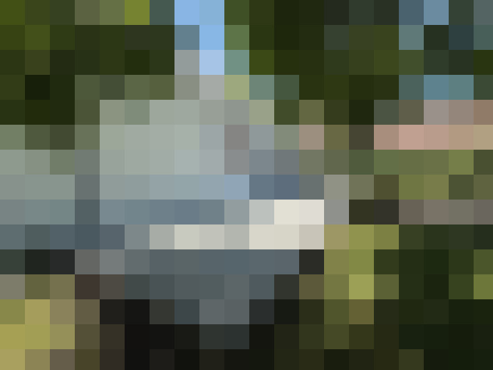 Image 16