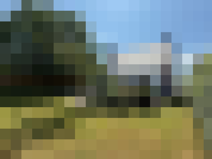 Image 13